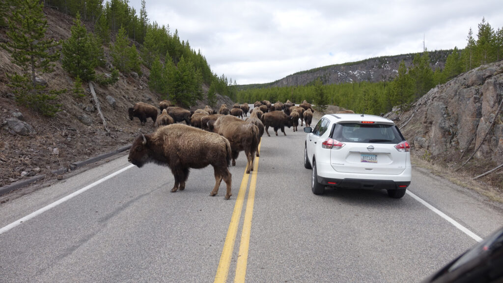 Yosemite National Park