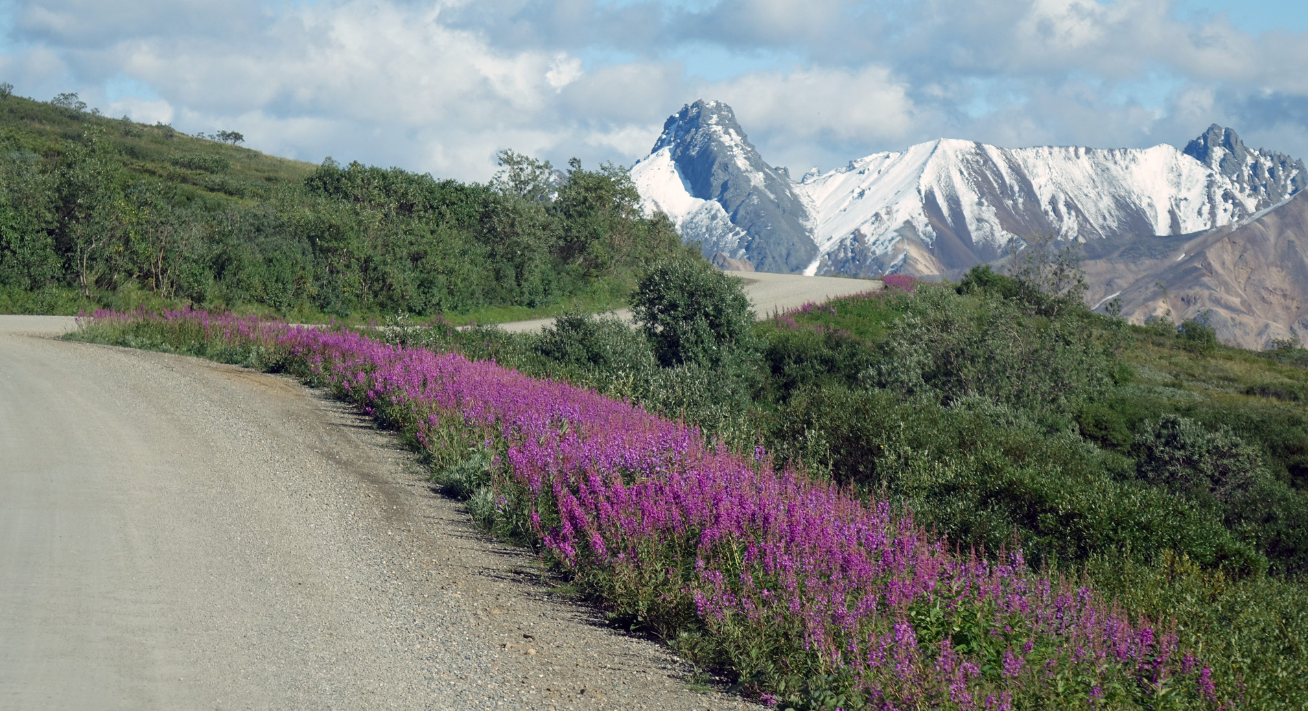 Alaska Denali National Park