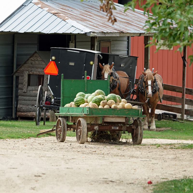 Amish