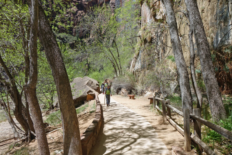 Zion National Park