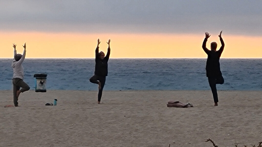 CA Kalifornia Los Angeles Venice Beach